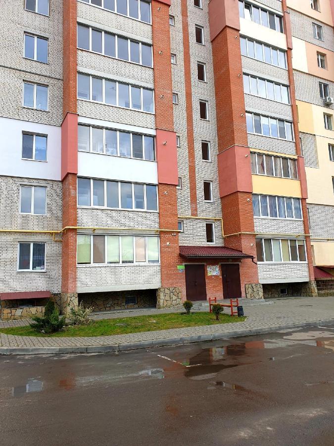 Apartment On Kravchuka, 11B Lutsʼk Exteriör bild